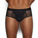 Sheer Fly Front Brief Black