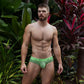 Undertone Low Rise Brief Gains Green - C - IN2 New York