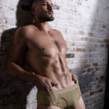 Sheer Fly Front Brief Dark Nude