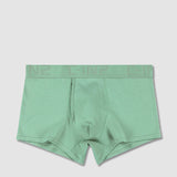 Flex Trunk Sage Green