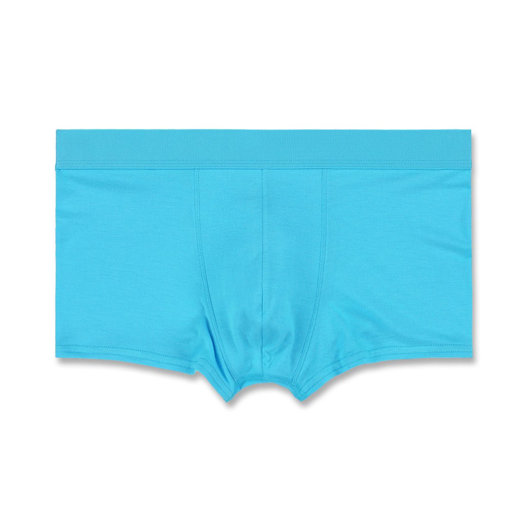 Minimal Trunk Bobby Blue - C - IN2 New York