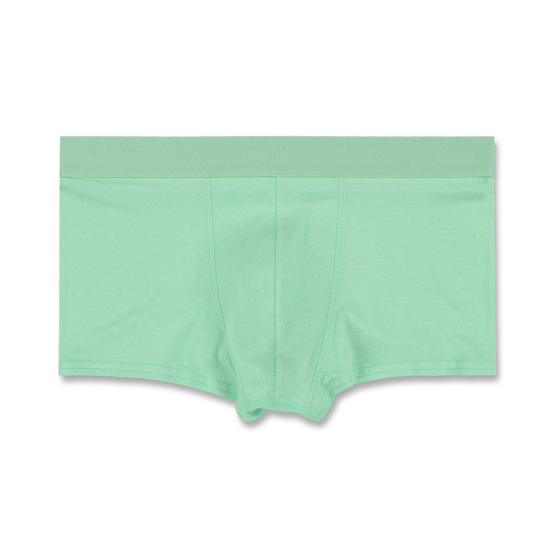 Minimal Trunk Gad Green - C - IN2 New York