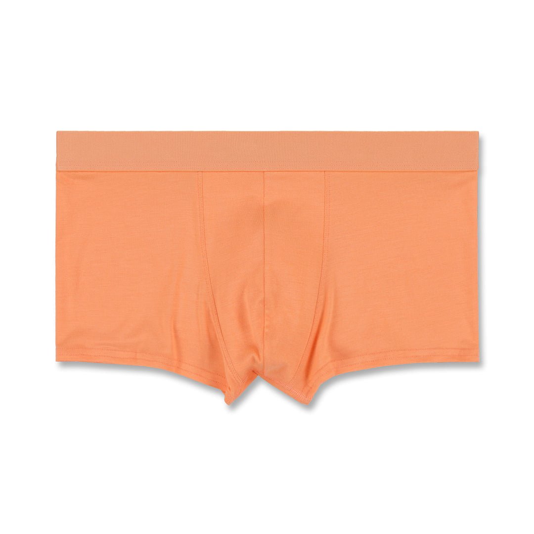 Minimal Trunk Odis Orange - C - IN2 New York