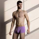 Nu Trunk Palta Purple - C - IN2 New York