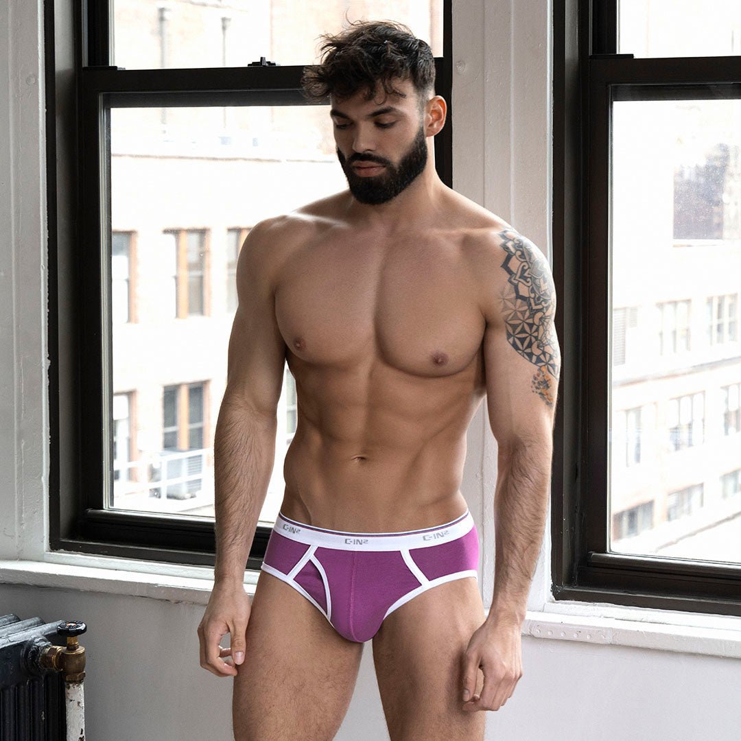 Throwback Fly Front Brief Paden Purple - C - IN2 New York
